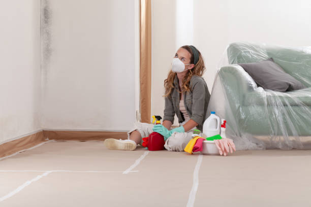 Reliable Mold Inspection contractor in Verona, NJ by WQB Mold Removal