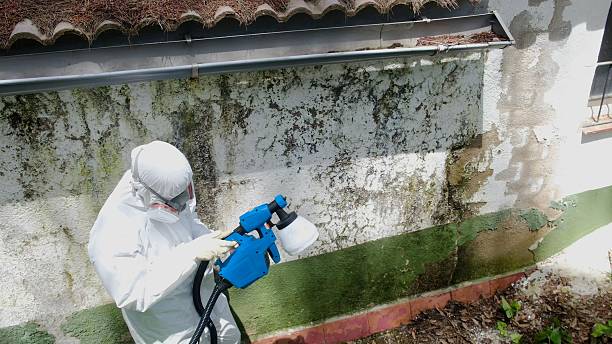 Top rated local Mold Inspection specialists in Verona, NJ